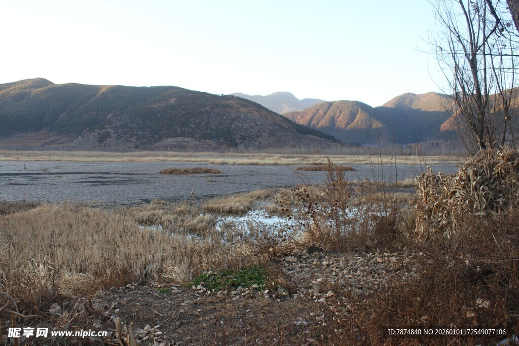 荒野中的开阔河岸景观