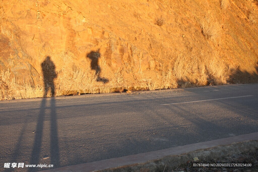 夕阳下的独行者