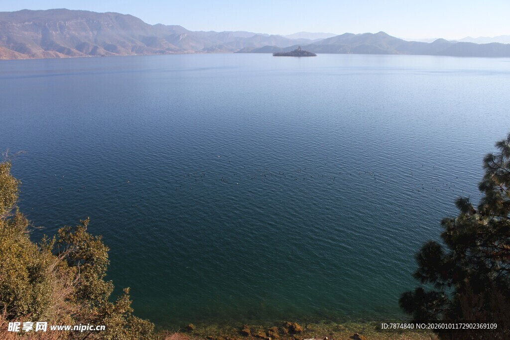 宁静湖水与岸边葱郁树木