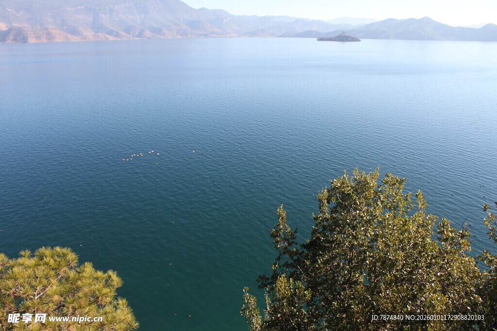 湖畔绿树与辽阔湖水美景