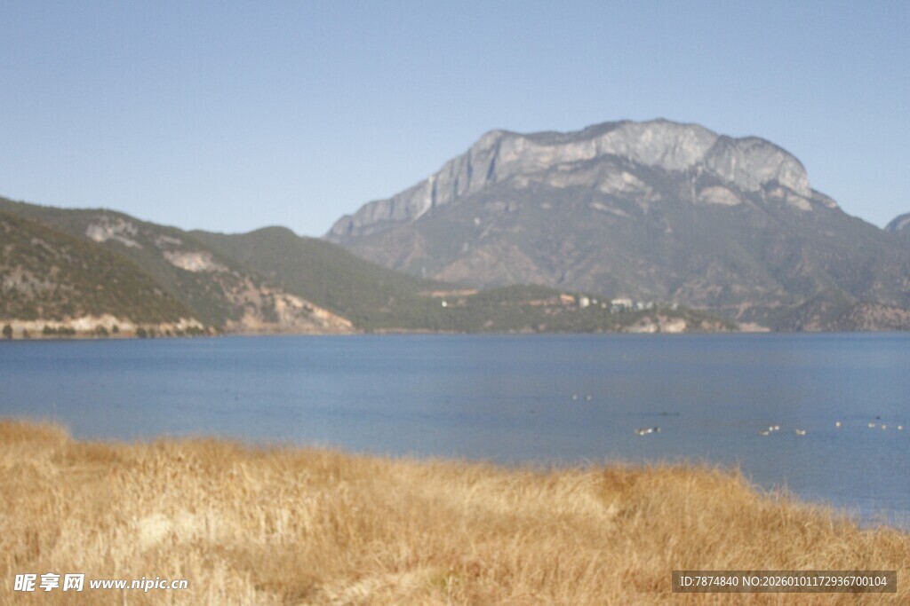 湖畔远山与金黄草地美景