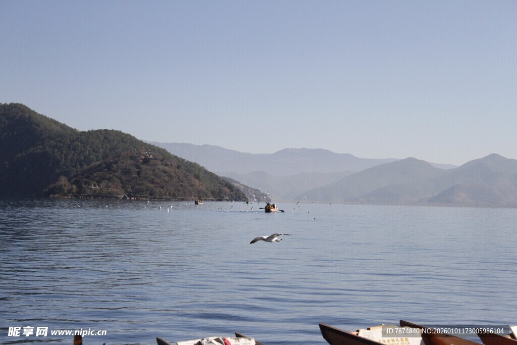 宁静湖畔小船与飞鸟