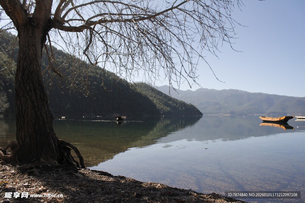 湖畔孤树旁的静谧小船