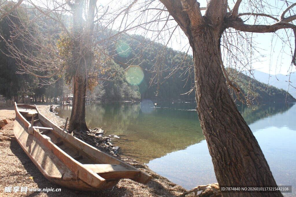湖畔枯树旁的静谧木船