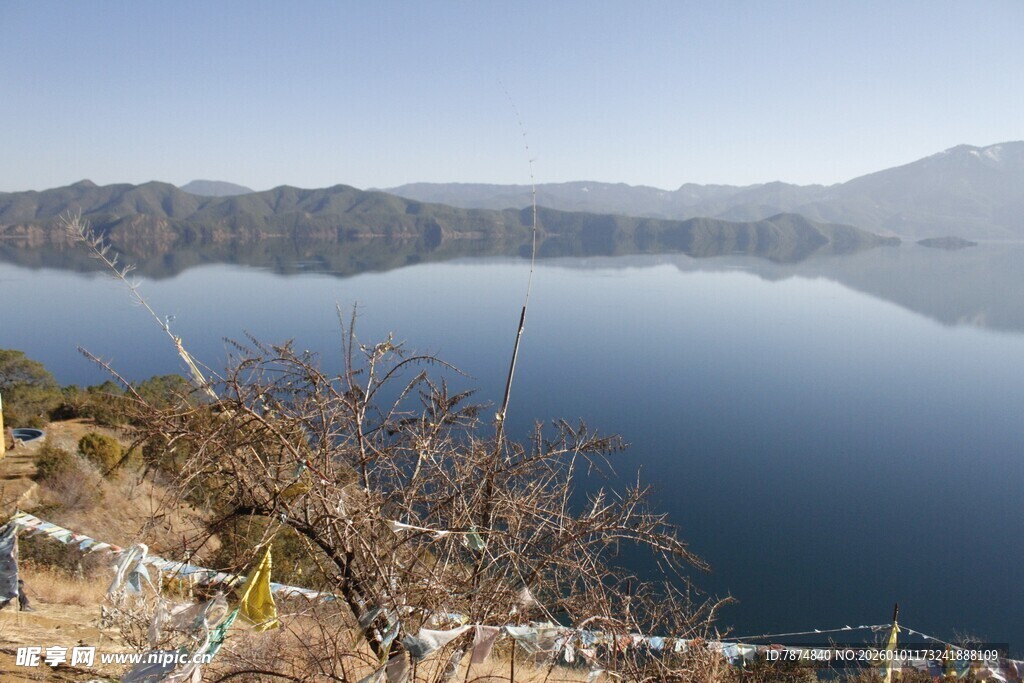 宁静湖畔景色宜人