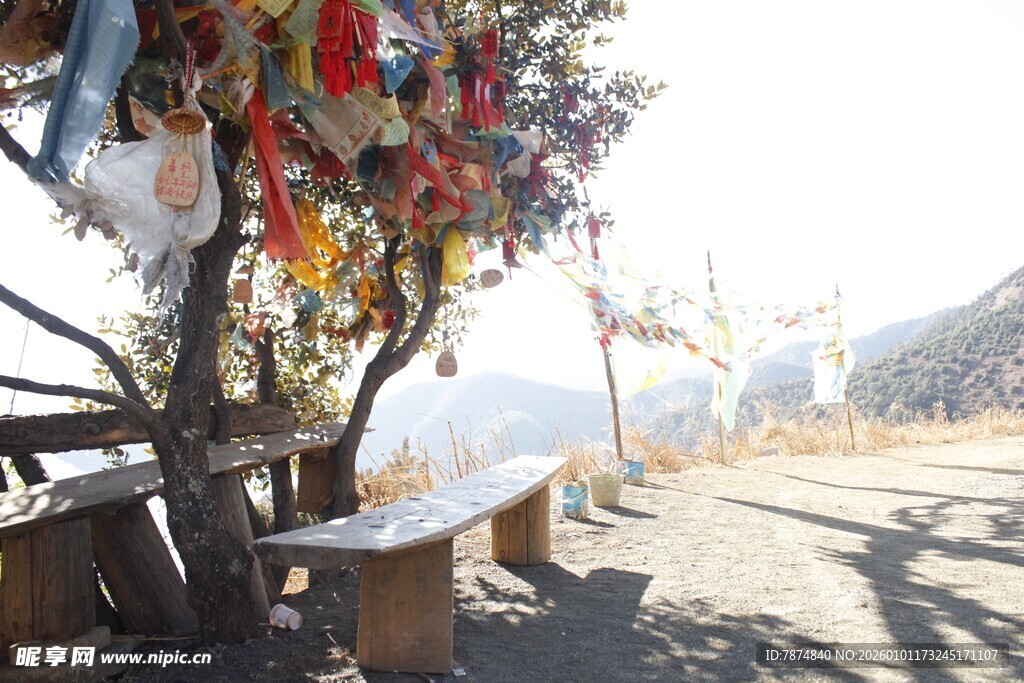 路边祈福树与多彩经幡