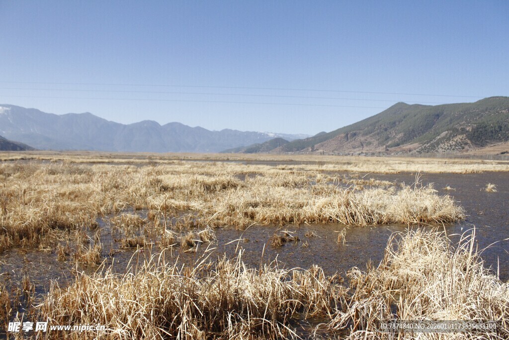 广袤湿地 枯草与远山相映
