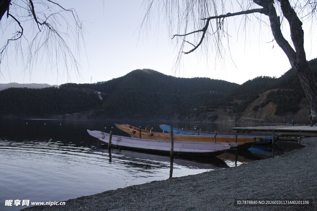 湖畔小船静泊于柳树下