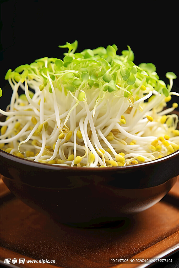碗中鲜嫩豆芽生机满满