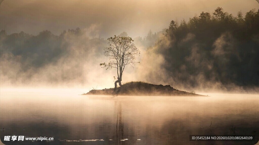 湖泊孤树