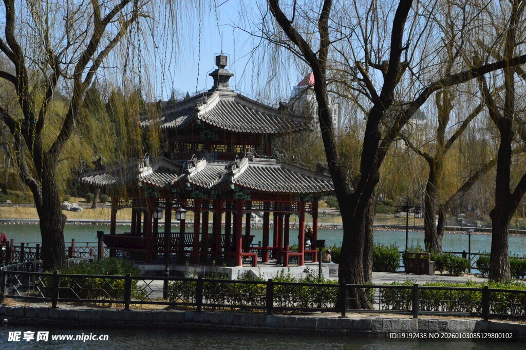 公园风景  