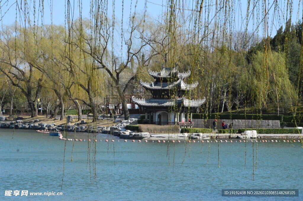 公园风景   