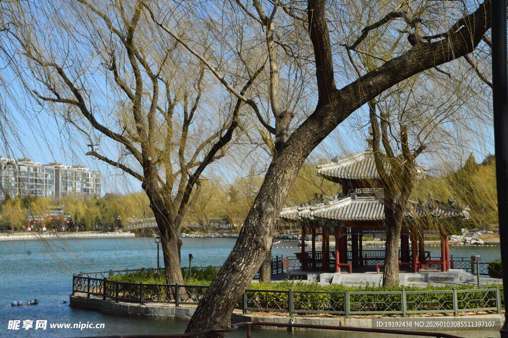 公园风景  