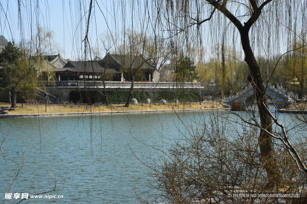 公园风景   