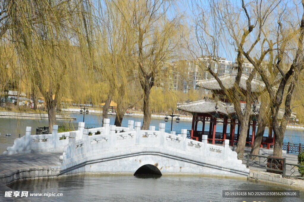 公园风景  