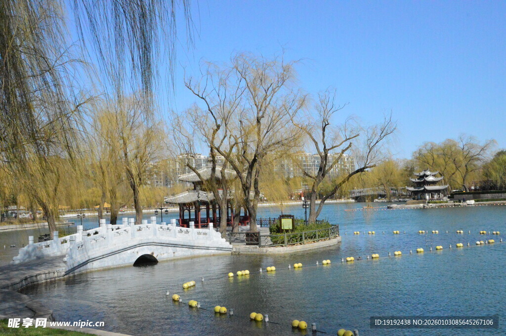 公园风景  