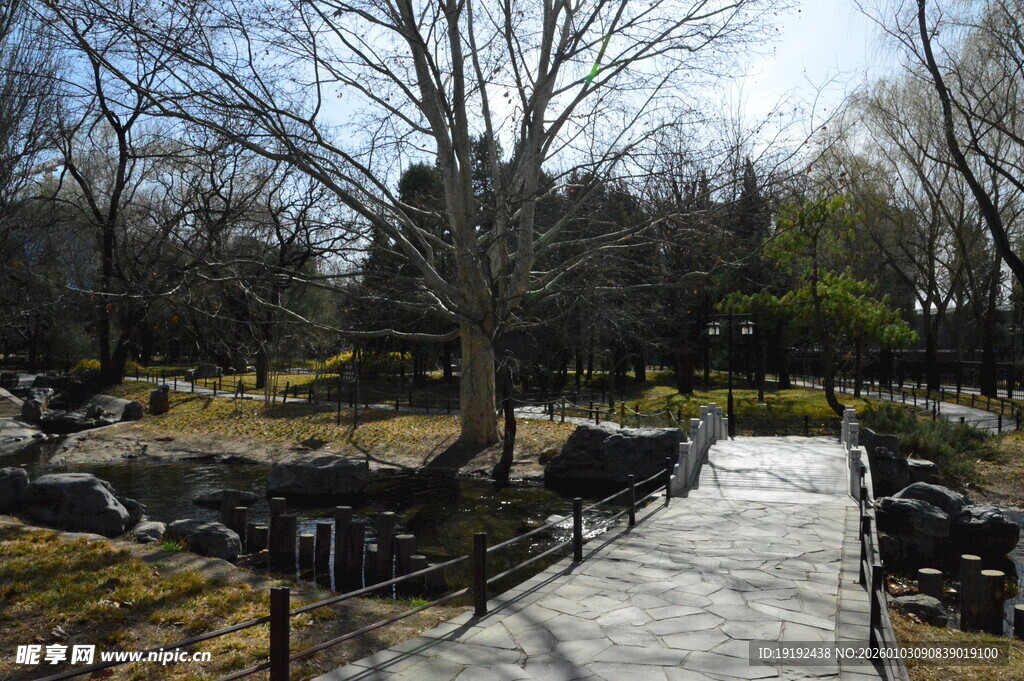公园风景  