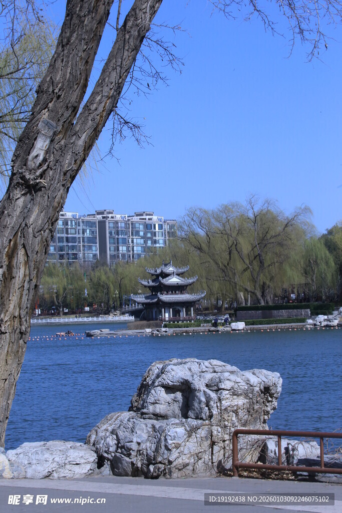 公园风景  