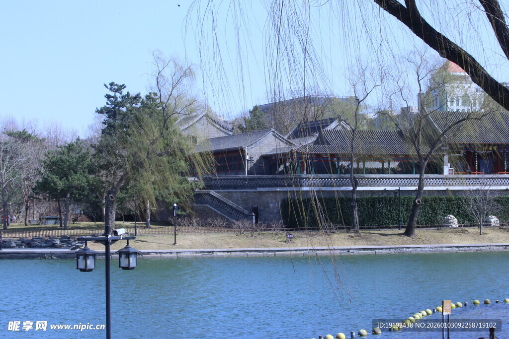 公园风景 