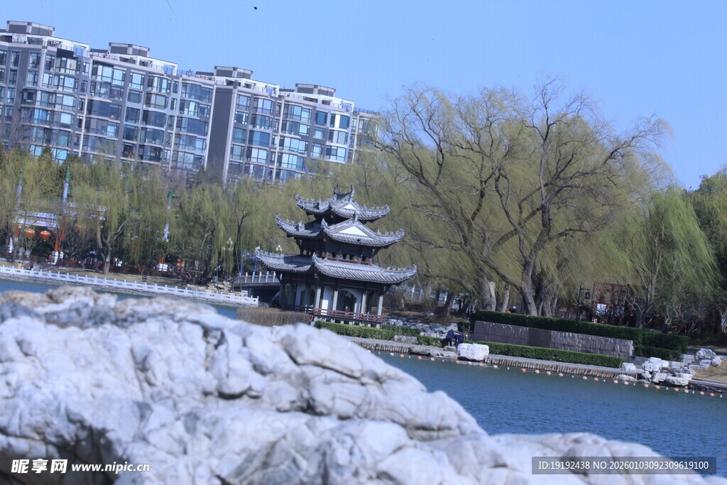 公园风景  