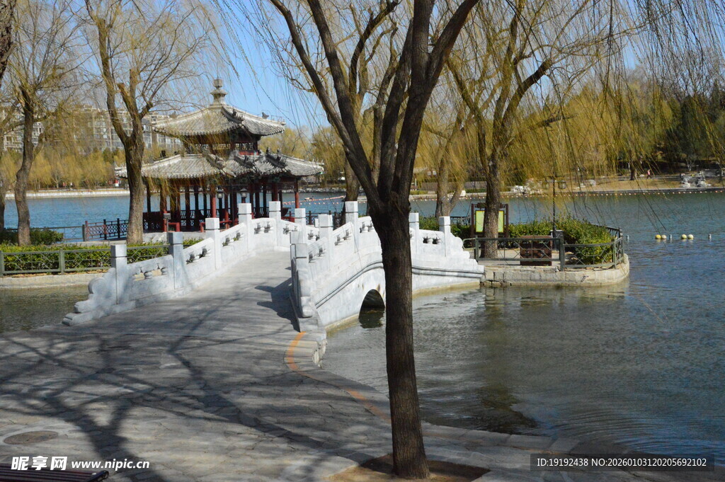 公园风景  