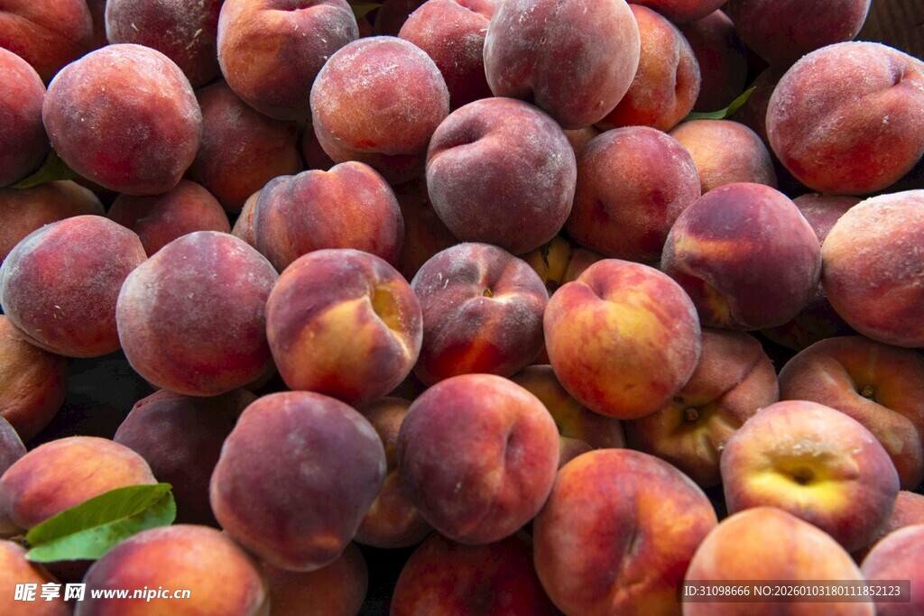 新鲜饱满的水蜜桃