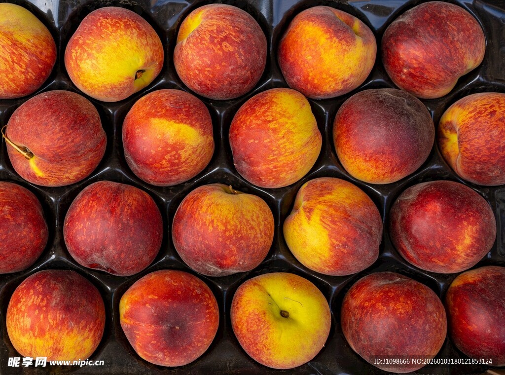 新鲜饱满的水蜜桃整齐排列