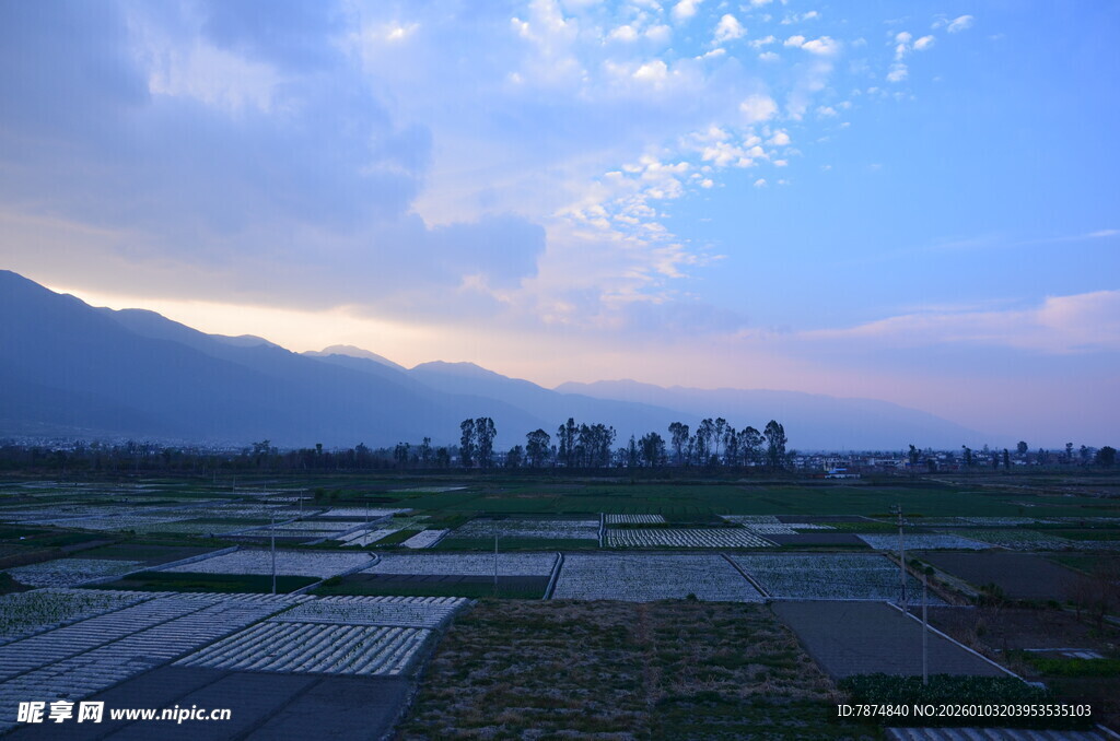 田园风光中的宁静天地