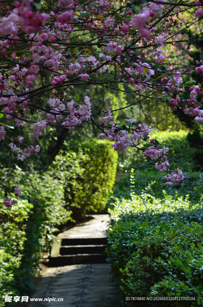 繁花簇拥的幽静花园小径