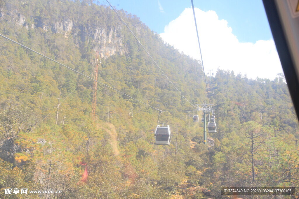 缆车穿梭于山林美景间