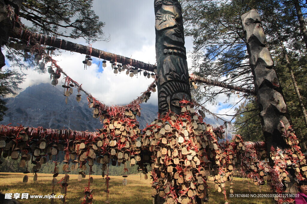 藏区林间经幡飘扬美景