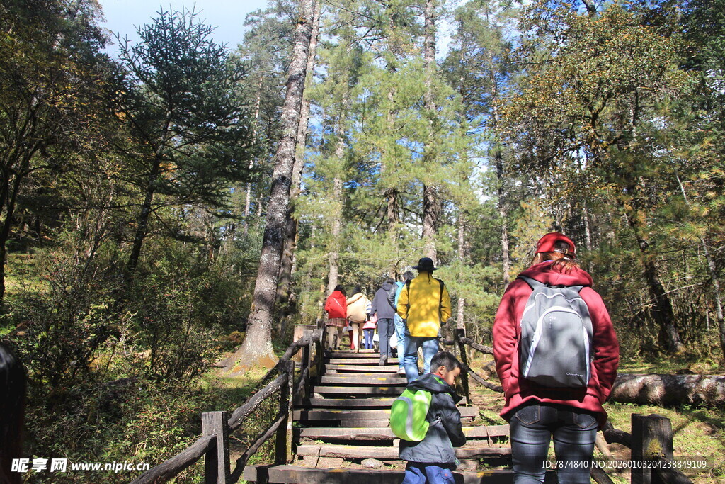 森林木栈道上的徒步旅行者