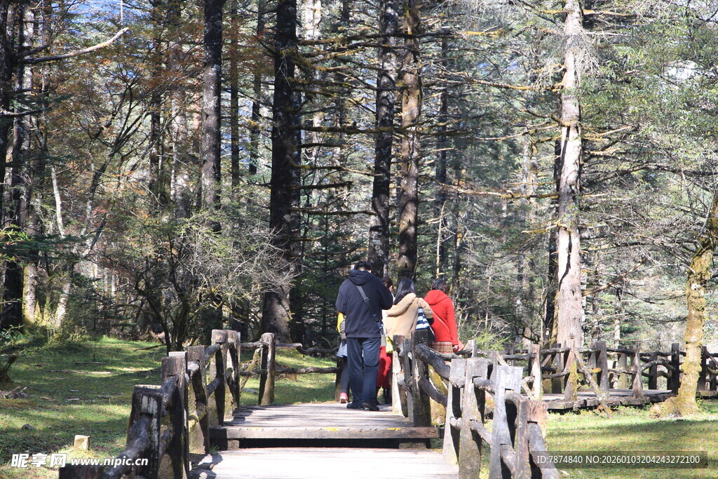 林间木桥上的多彩身影