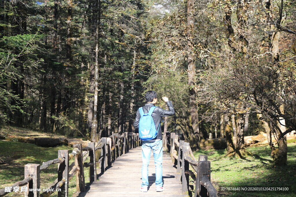 漫步林间木栈道的旅人