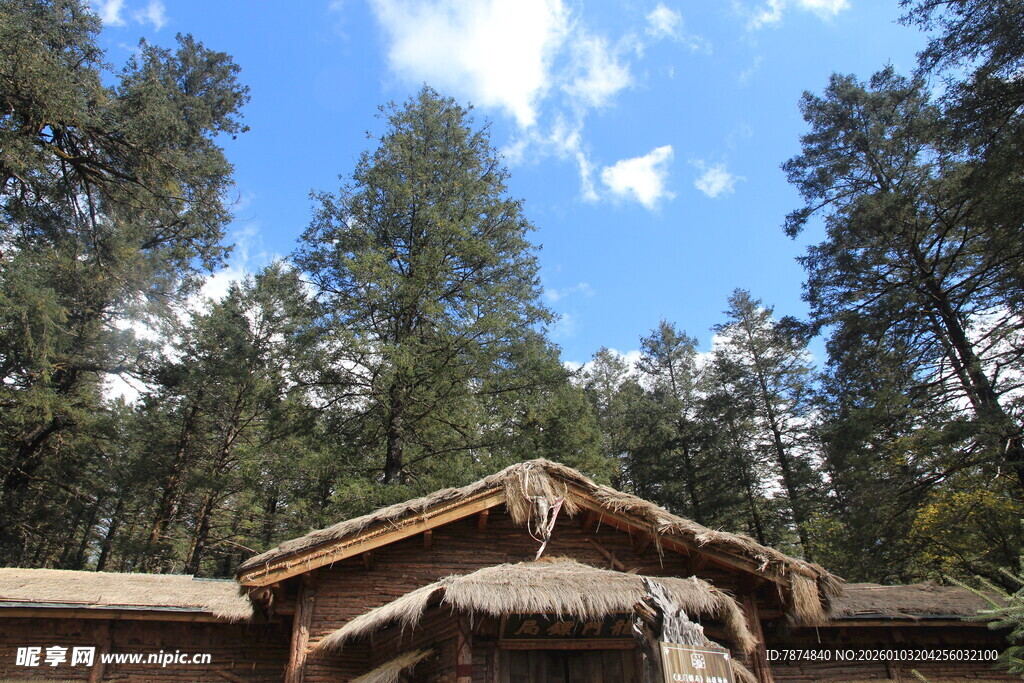 林间木屋 自然静谧之景