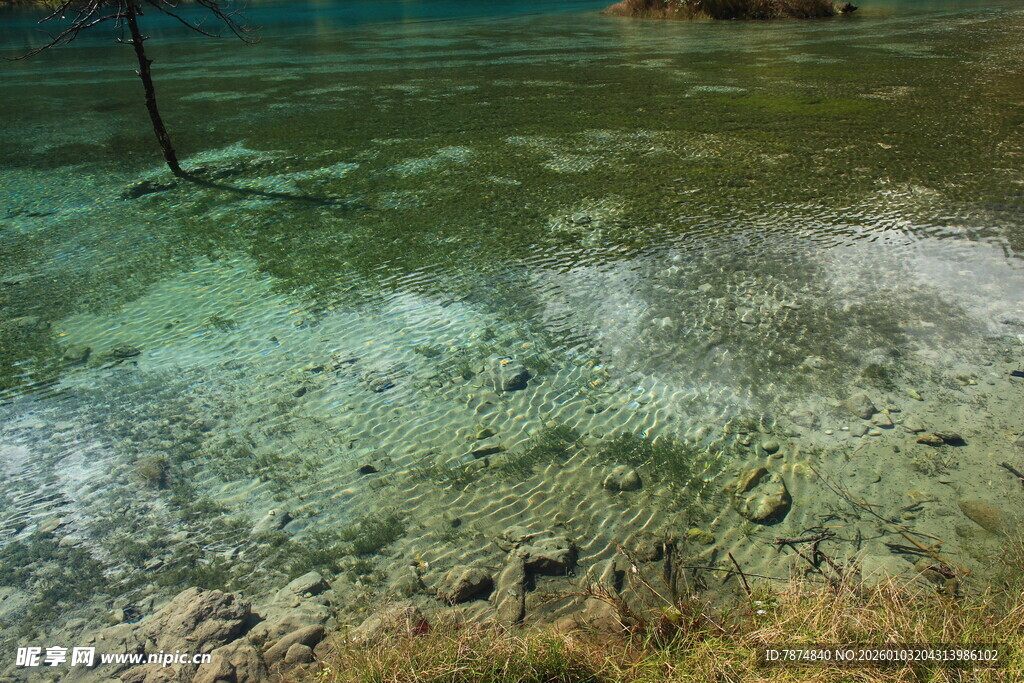 清澈水底的沙石与水草