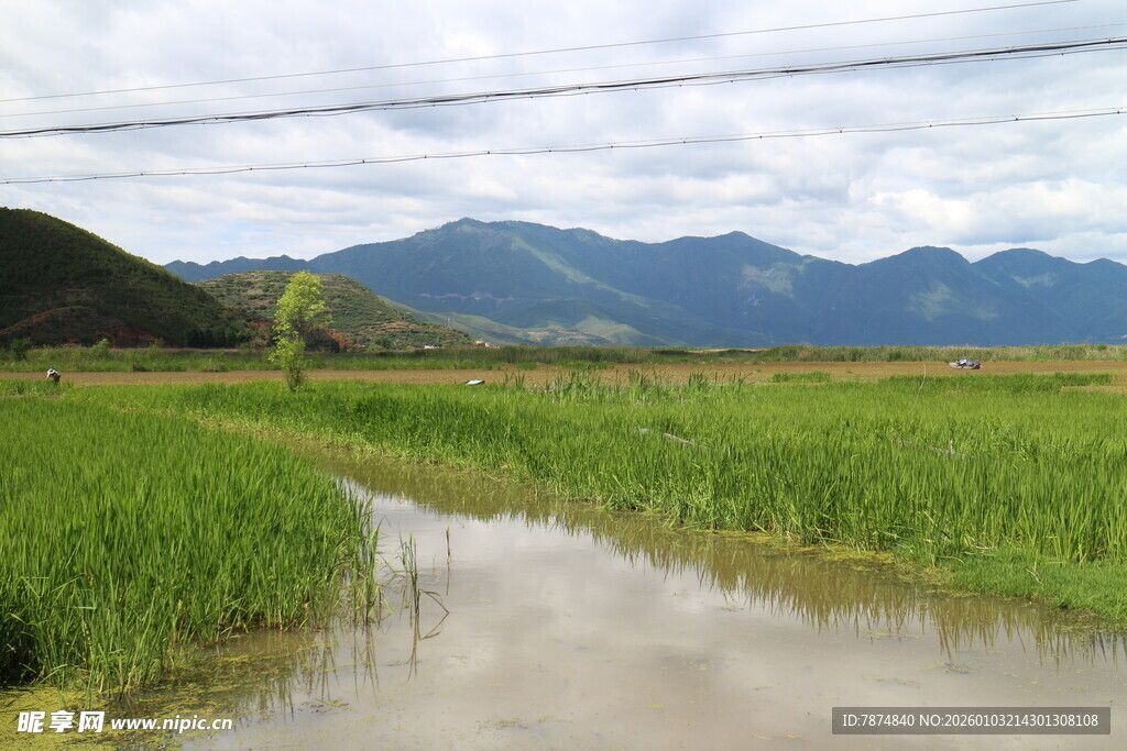 田园水乡风景图