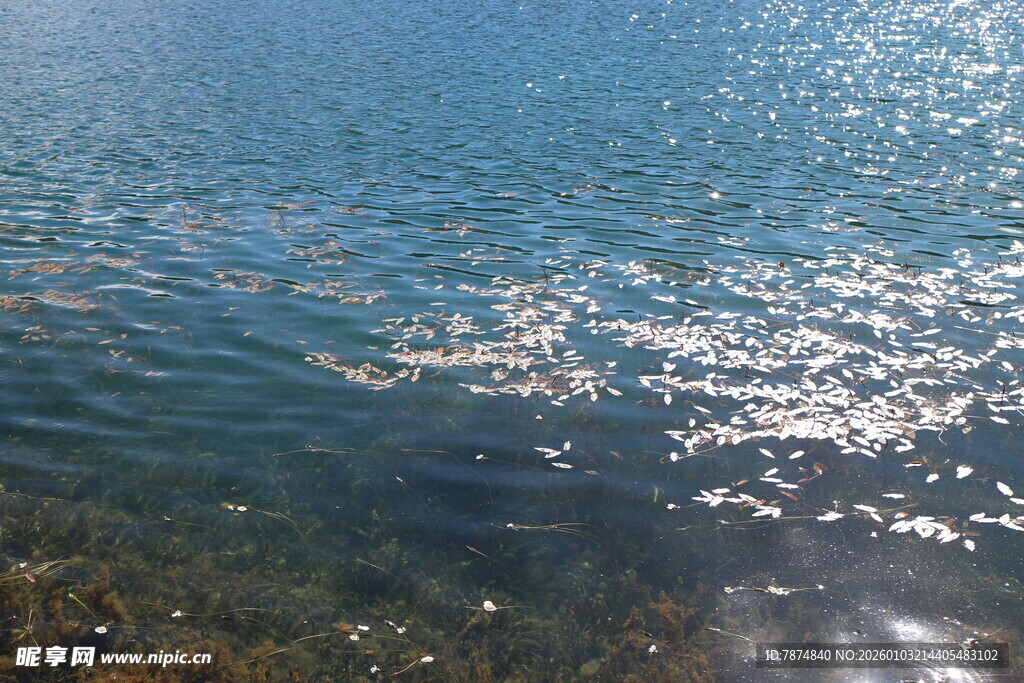 波光粼粼的蓝色水面