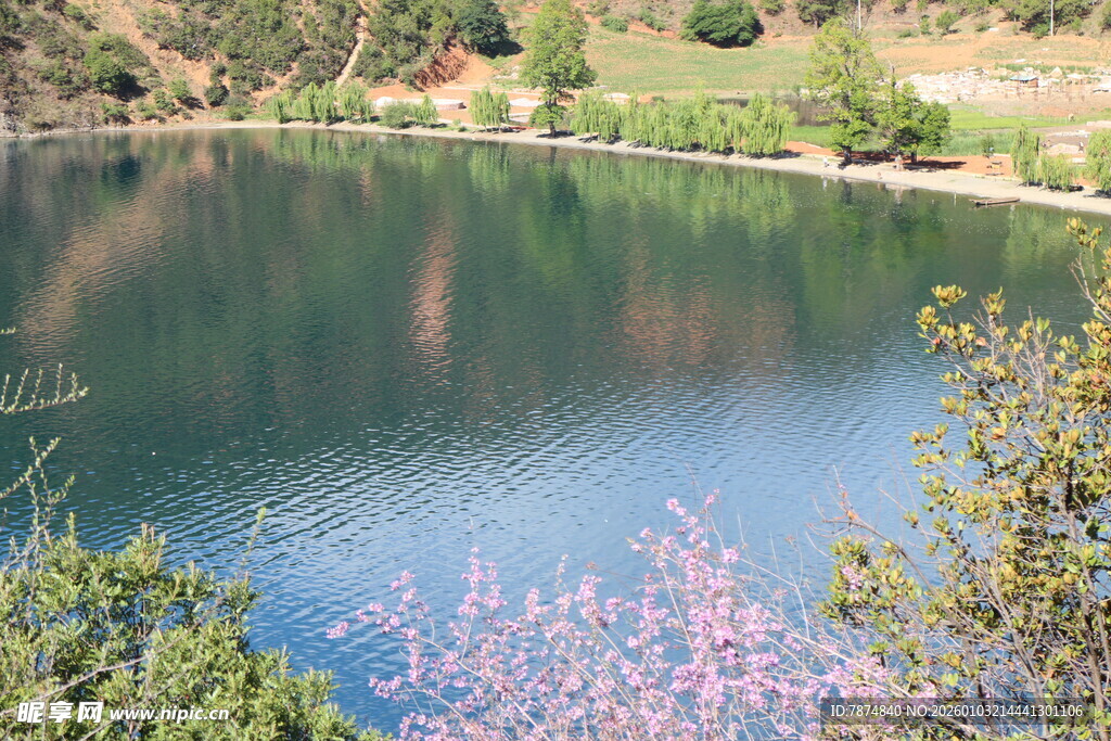 湖畔繁花映碧水