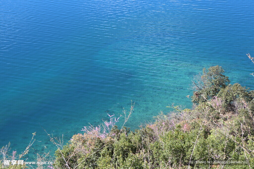 俯瞰碧海与岸边绿植