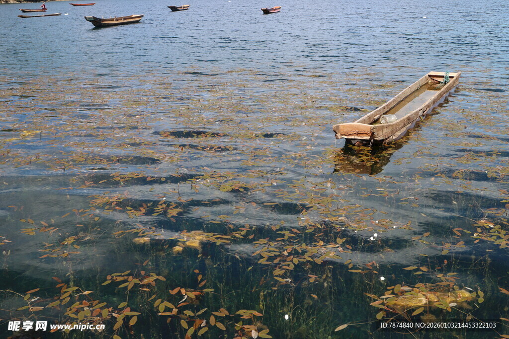 海上漂浮的木质养殖筏架