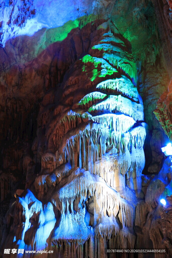 梦幻森林灯光艺术景观