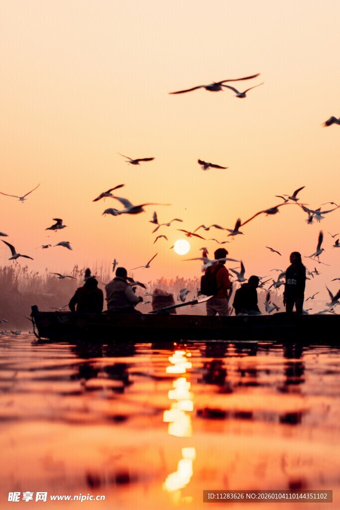 夕阳下泛舟观飞鸟景象