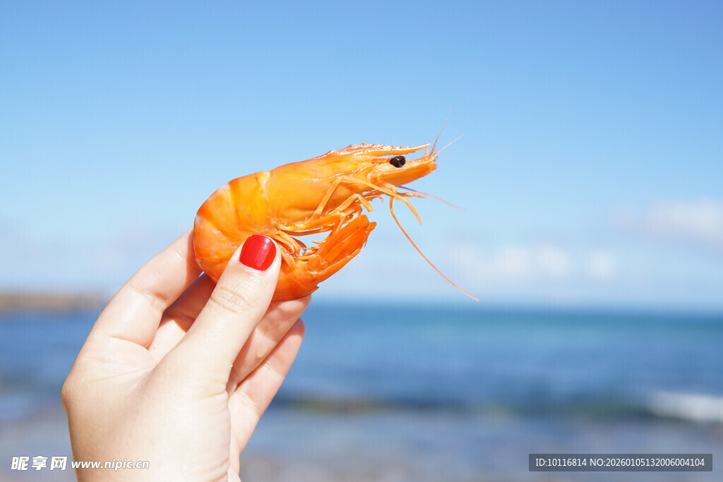 鲜虾
