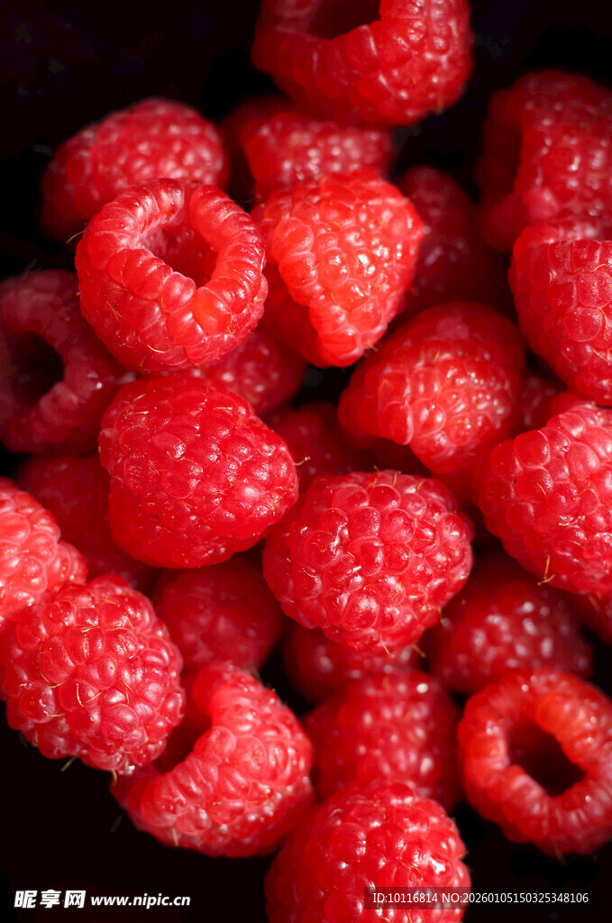 树莓