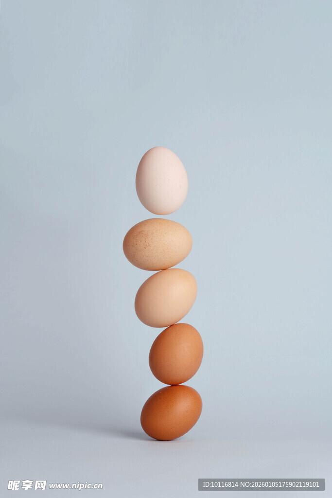 鸡蛋