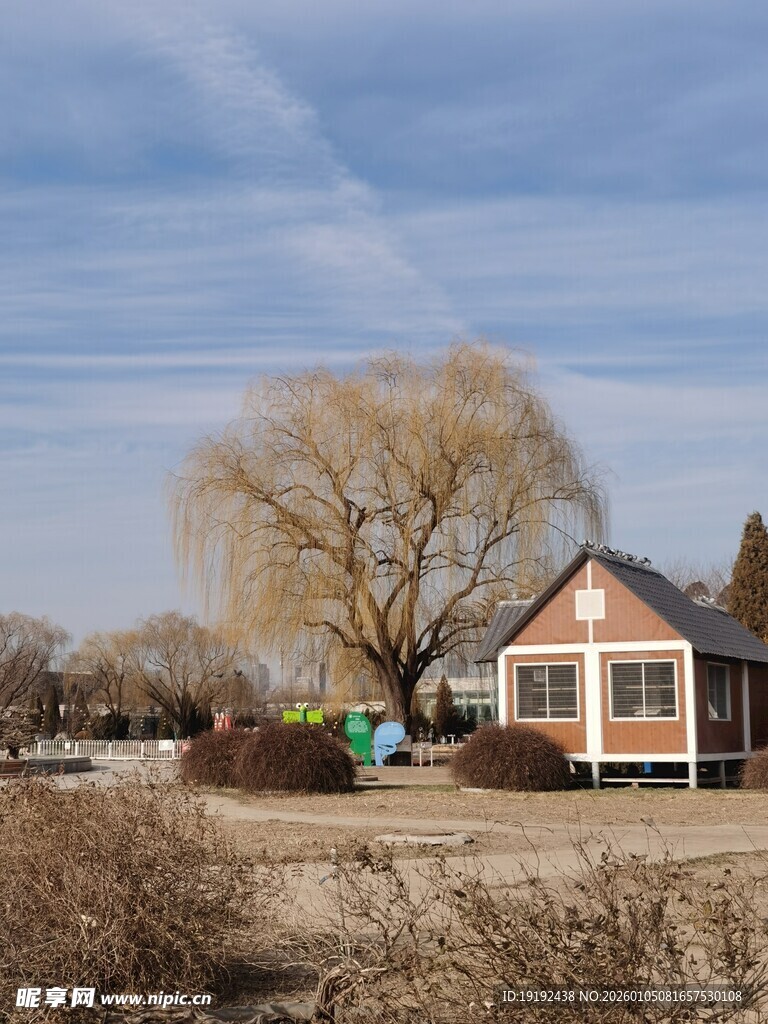 公园风景 