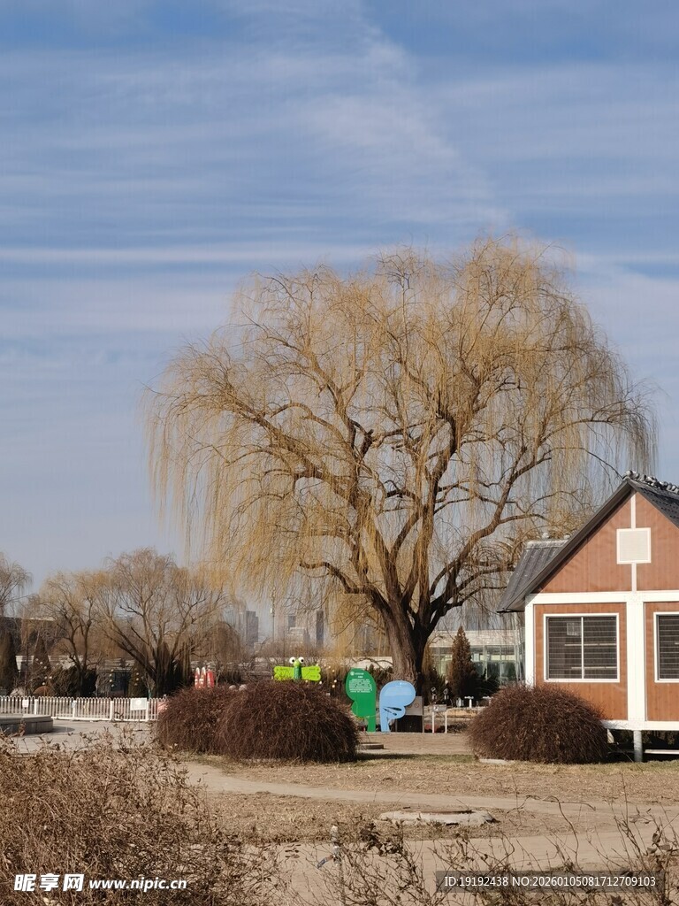 公园风景  