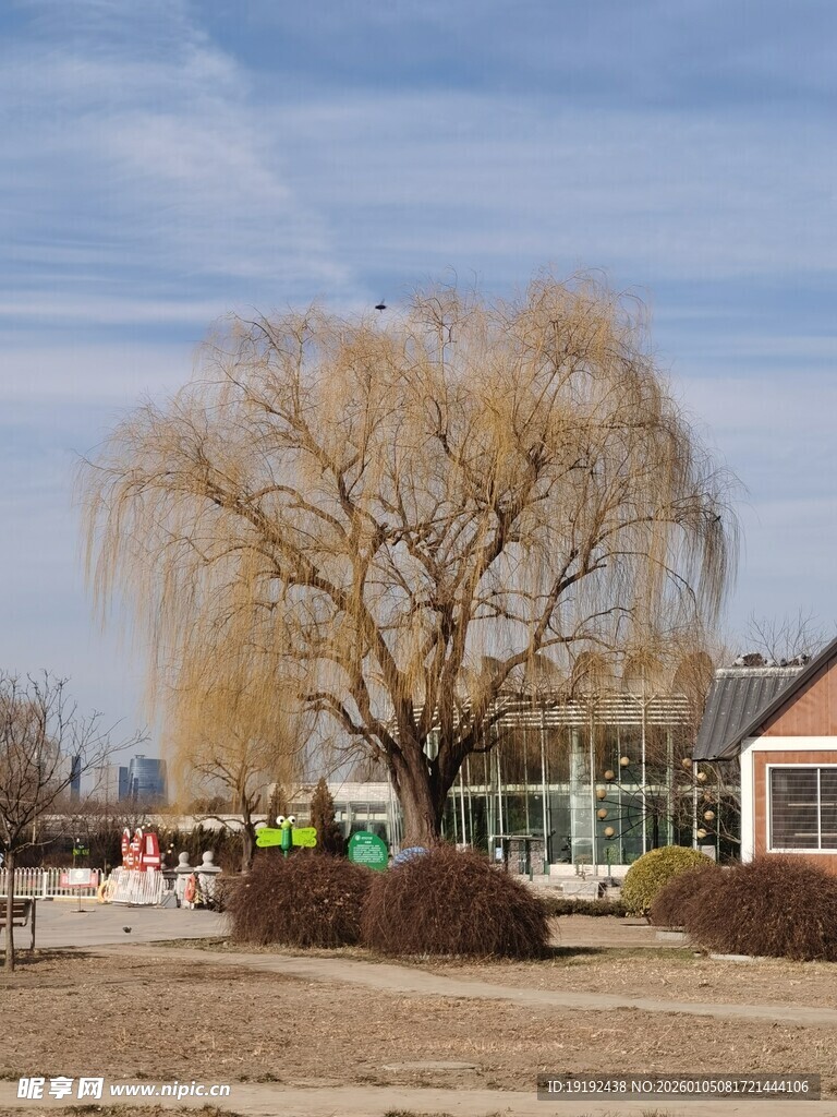公园风景 