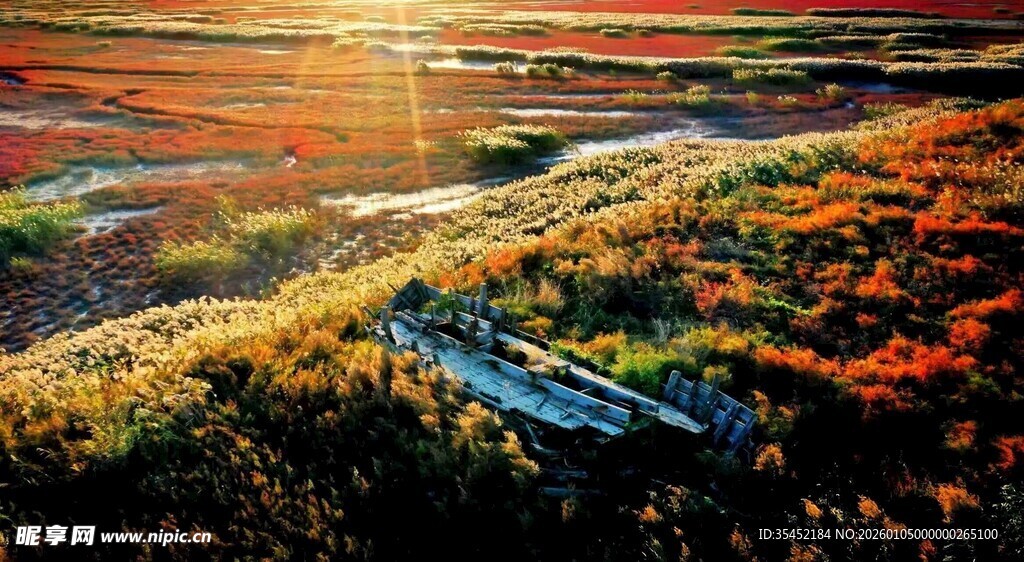 旷野中的废弃小船